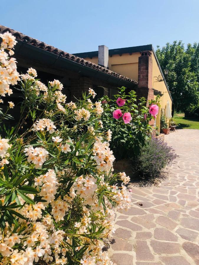 הוילה Badia Pavese La Casa Nei Campi מראה חיצוני תמונה